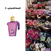 دکانت ۱۰ میل عطر کازاموزاتی لاتوسکا